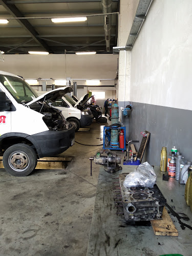Отзиви за TPS / TPS Garage / Трък партс енд сървис ООД в Варна - Търговец на автомобили