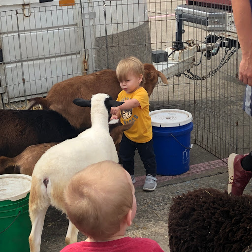 School «Lighthouse Private School», reviews and photos, 5600 Horizon Rd, Rockwall, TX 75032, USA