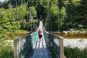 Fundy Trail Parkway- Big Salmon River Suspension Bridge image