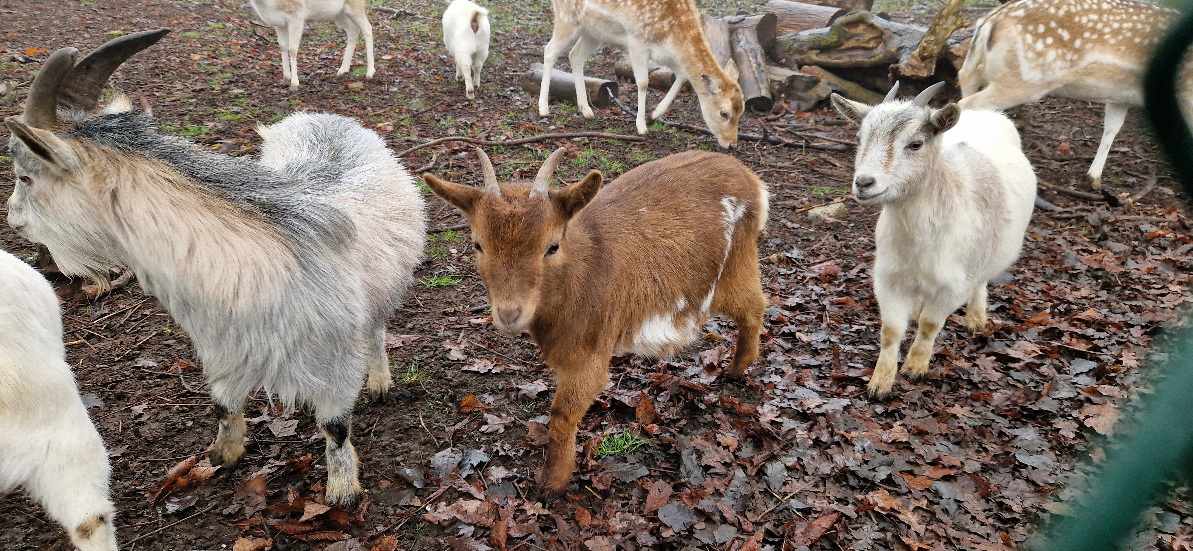 Photo n° 14 de l'avis de Jerome.I fait le 28/01/2024 à 17:55