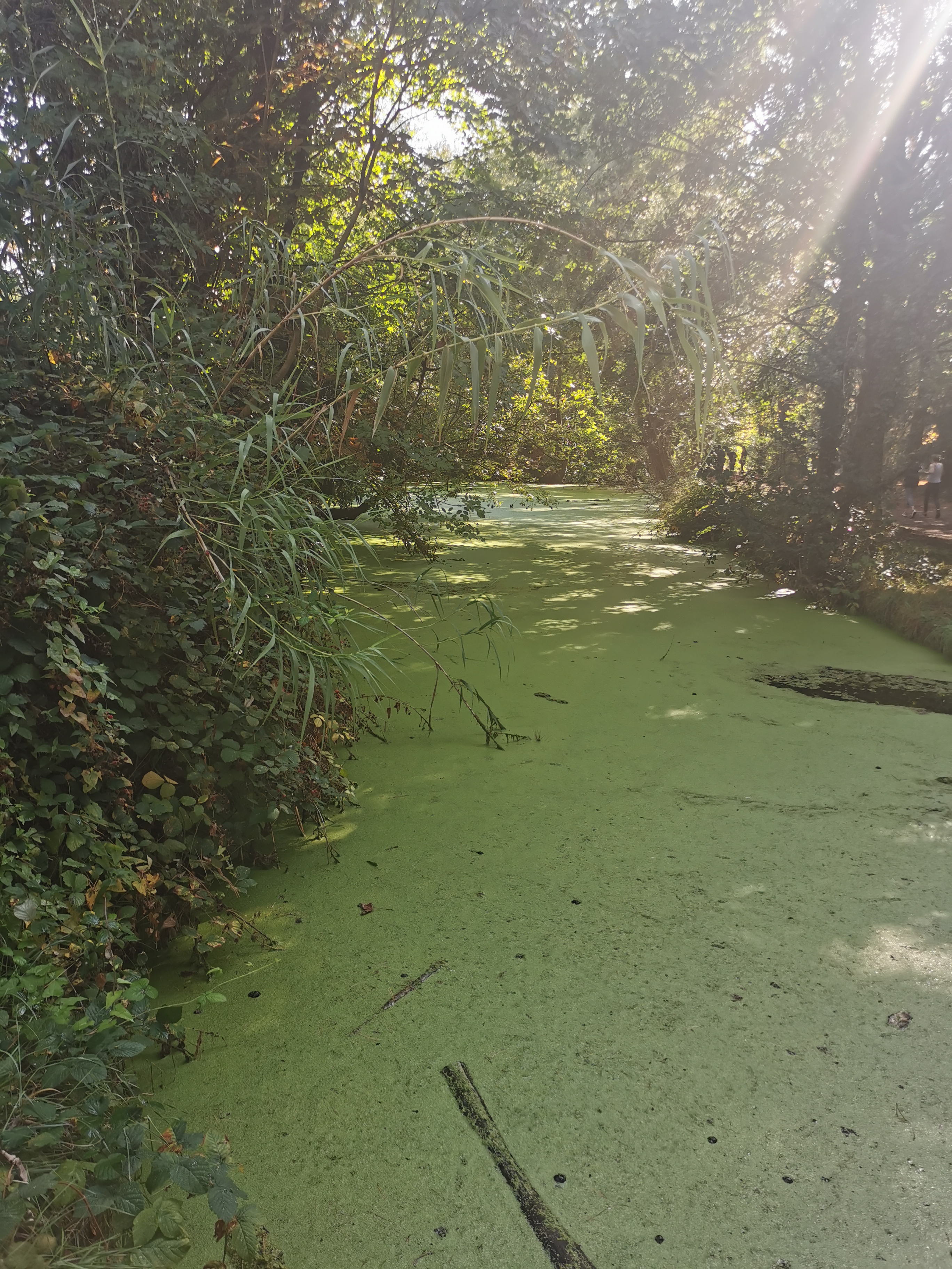 Photo n° 3 de l'avis de Saida.A fait le 17/01/2018 à 19:06