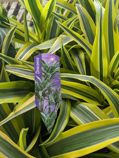 Wholesale Plant Nursery «Garden Fantasy», reviews and photos, 43250 Tyler Rd, Belleville, MI 48111, USA