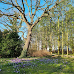 Photo n°2 de l'avis de Andreas.e fait le 14/03/2024 à 17:31 sur le  Gaststätte Zum Froschkönig Inh. Mirko Anschütz à Elmenhorst/Lichtenhagen