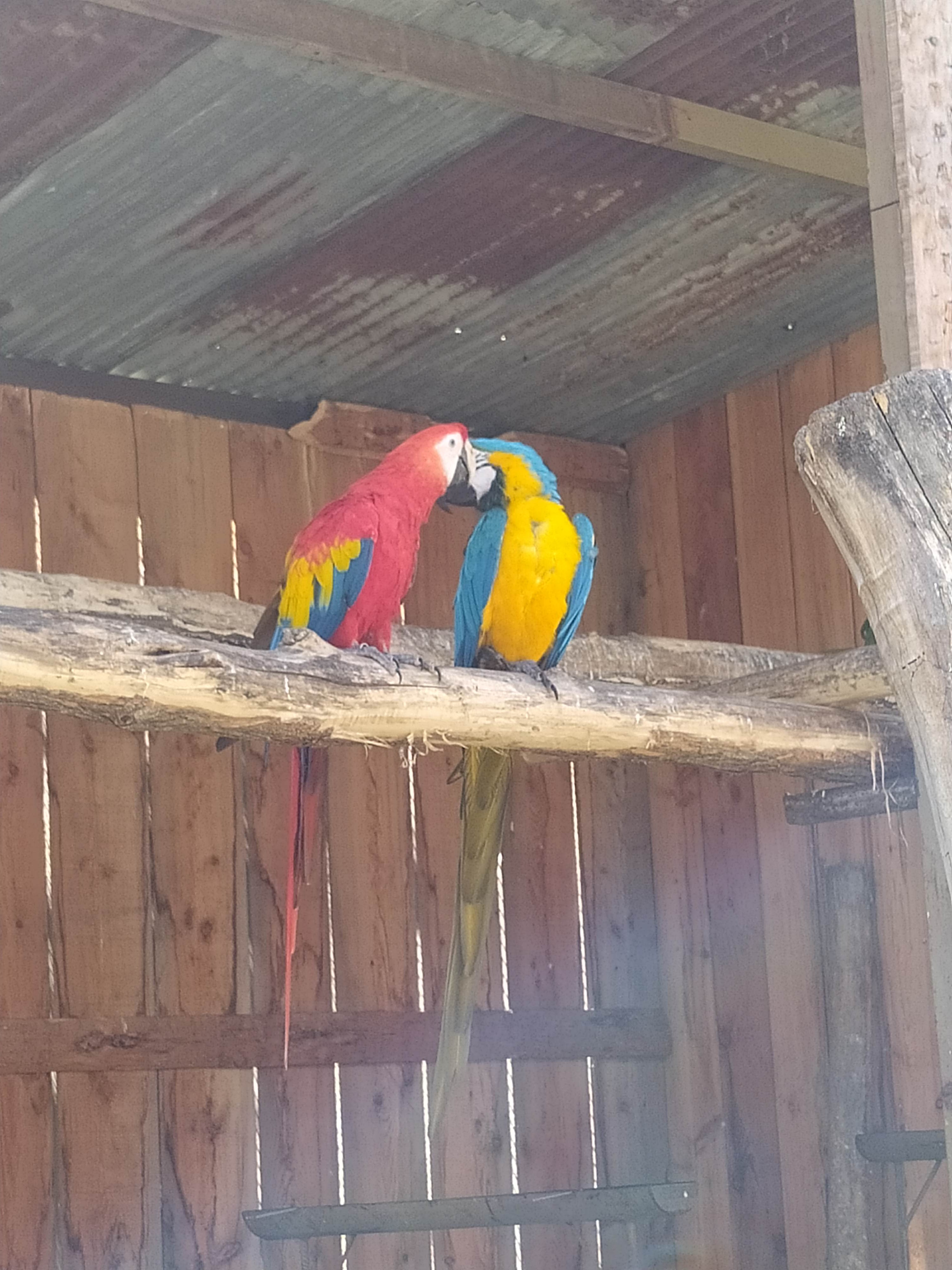 Photo n° 6 de l'avis de Céli.. fait le 11/08/2023 à 16:44