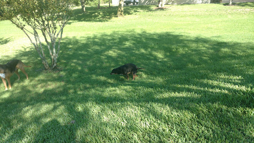 American Restaurant «Cracker Barrel Old Country Store», reviews and photos, 9380 19th Ln, Vero Beach, FL 32966, USA