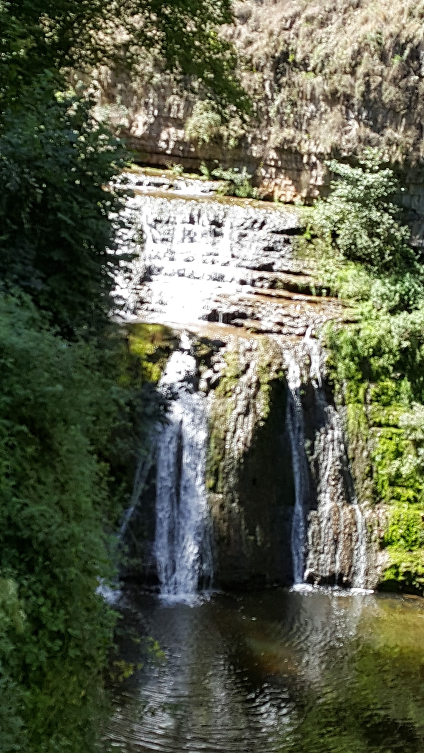 Photo n° 5 de l'avis de Martine.d fait le 04/09/2017 à 16:59