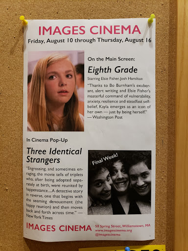 Performing Arts Theater «Williamstown Theatre Festival», reviews and photos