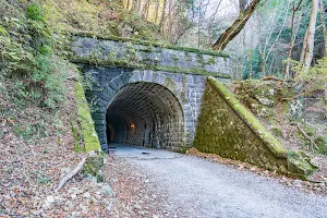 Old Amagi Tunnel North Side image
