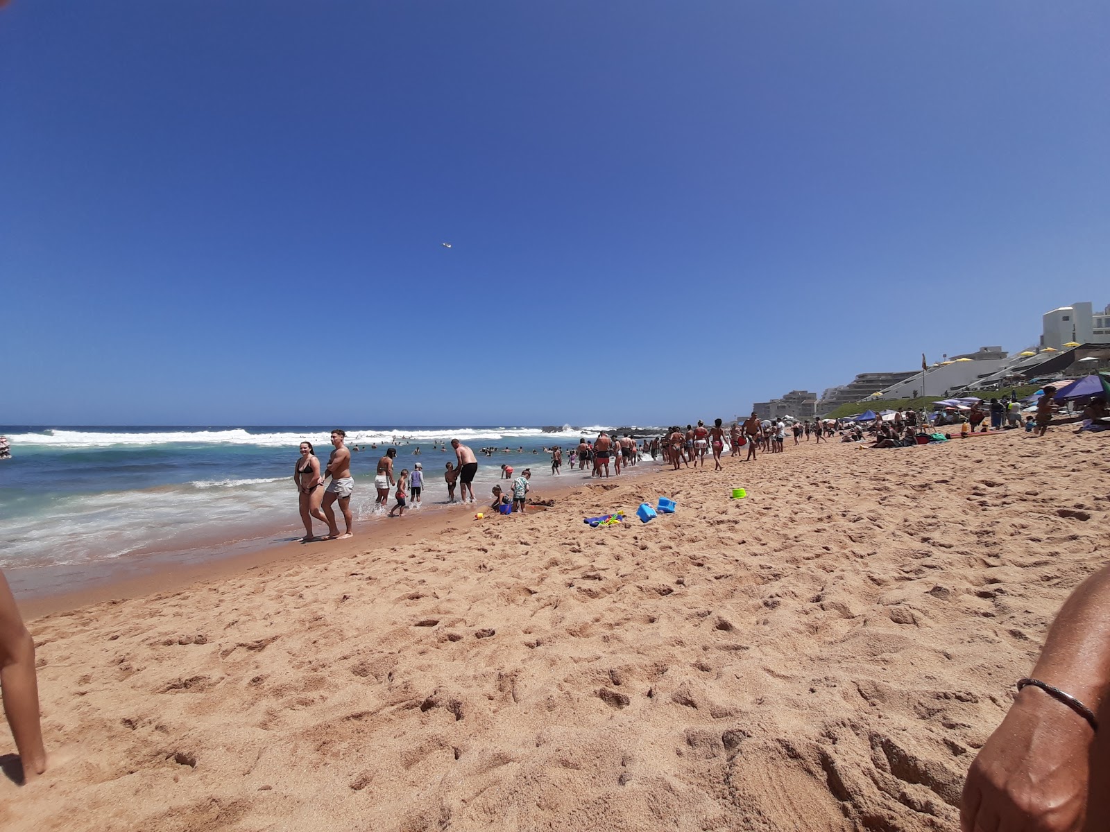 Willard beach photo #7