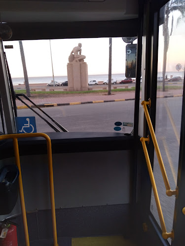 Opiniones de Terminal ómnibus bus en Montevideo - Servicio de transporte
