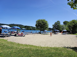 Foto di Cicognola Beach con una costa spaziosa