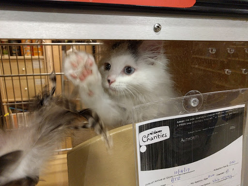 Pet Supply Store «PetSmart», reviews and photos, 160 Alewife Brook Pkwy, Cambridge, MA 02138, USA