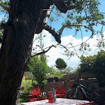 Photo n°12 de l'avis de christian.n fait le 14/05/2018 à 11:33 sur le  Veglie in volo à Casarola