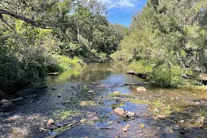 Bunya Crossing Reserve image