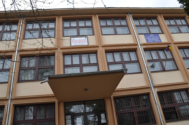 Școala gimnaziala „Nicolae Bălcescu” si Liceul Penticostal Elim