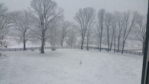 Ranch «The Marriott Ranch Bed and Breakfast», reviews and photos, 5305 Marriott Ln, Hume, VA 22639, USA