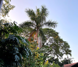 Club One Seven Guesthouse & Gym Chiang Mai photo