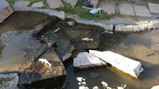 Amusement Center «Great Northern Carousel», reviews and photos, 989 Carousel Way, Helena, MT 59601, USA