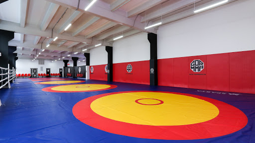 Спортивный клуб единоборств GOR_MMA в Академическом районе | рукопашная секция, айкидо, бокс