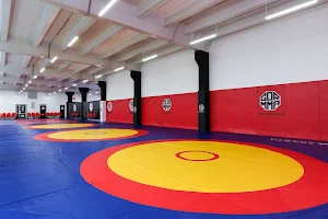 Спортивный клуб единоборств GOR_MMA в Академическом районе | рукопашная секция, айкидо, бокс image