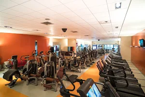 Palestra Energia S.R.L. - Fitness image