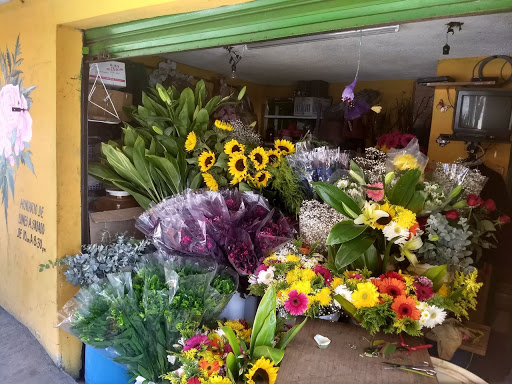 Florería Melchor Ocampo – Melchor Ocampo