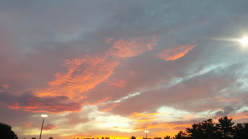 Supermarket «Big Y», reviews and photos, 1180 Thorndike St, Palmer, MA 01069, USA