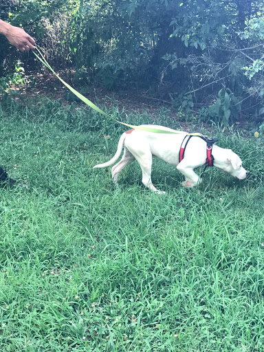 Dog Park «Murfreesboro Bark Park», reviews and photos, 1540 W College St, Murfreesboro, TN 37130, USA