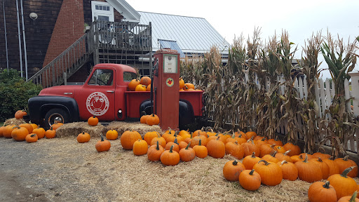 Farm «Russell Orchards», reviews and photos, 143 Argilla Rd, Ipswich, MA 01938, USA