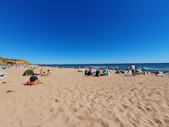 Montrose Beach