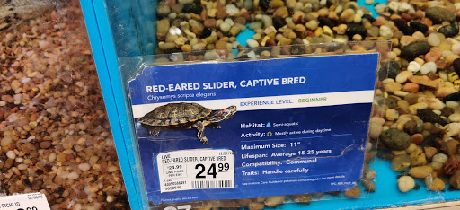 Shopping Mall «Northland Plaza Shopping Ctr», reviews and photos, 2500 Sycamore Rd, DeKalb, IL 60115, USA