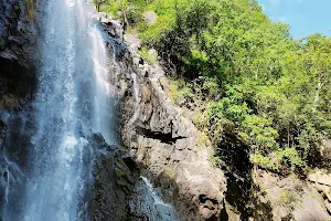 Maankombu WaterFalls image