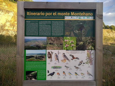 Itinerario por el monte Montehano C. Montehano, 6, 39795 Escalante, Cantabria, España