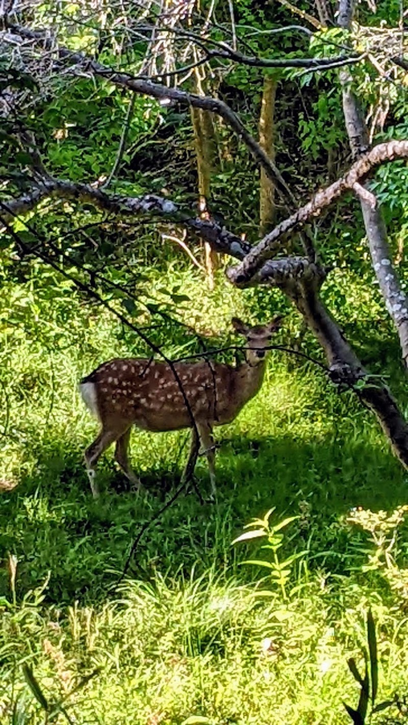 青山八丁目街区公園