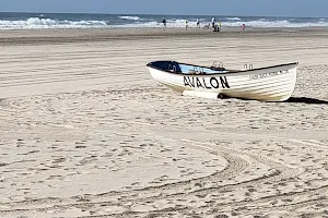 Avalon Beach Patrol image