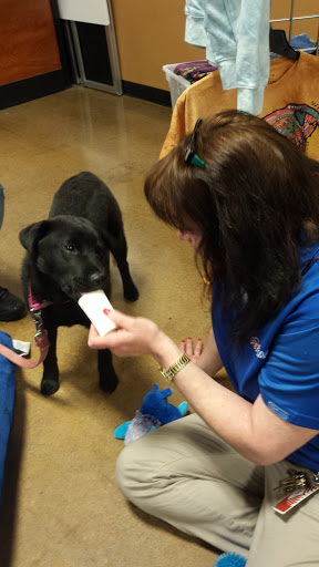 Pet Supply Store «PetSmart», reviews and photos, 1742 E 3rd St, Williamsport, PA 17701, USA