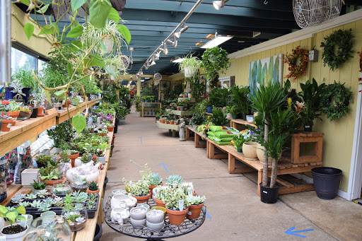 Plant Nursery «Potomac Petals and Plants», reviews and photos, 9545 River Rd, Rockville, MD 20854, USA