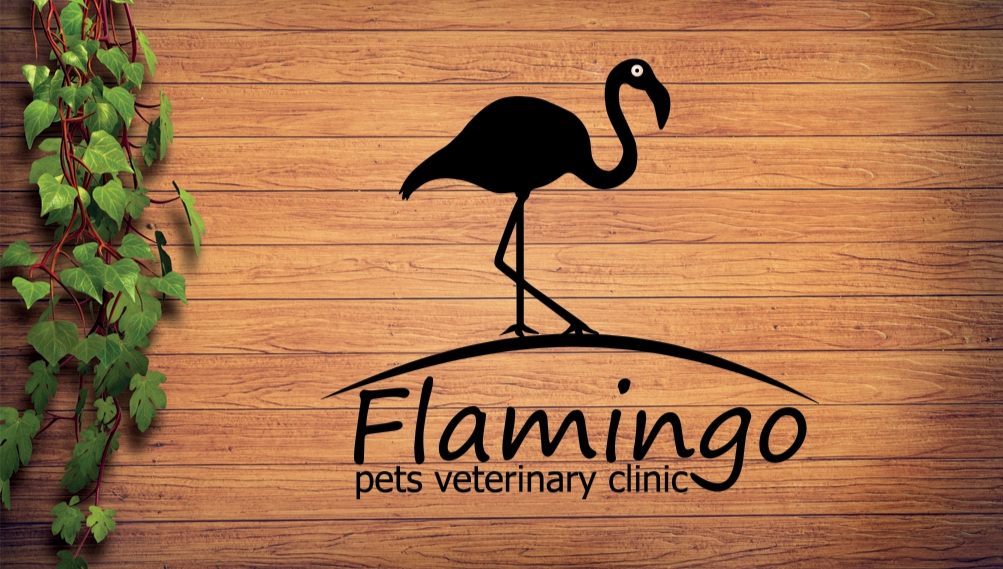 Flamingo pets veterinary clinic مركز فلامنجو للخدمات البيطرية