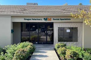 Oregon Veterinary Dental Specialists image