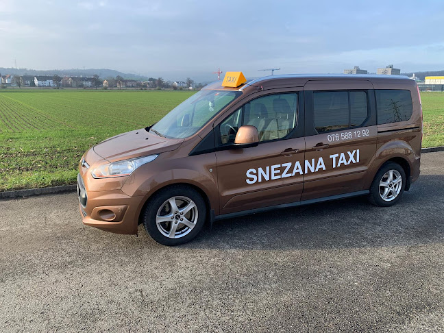 Rezensionen über SNEZANA-TAXI SUHR in Aarau - Taxiunternehmen