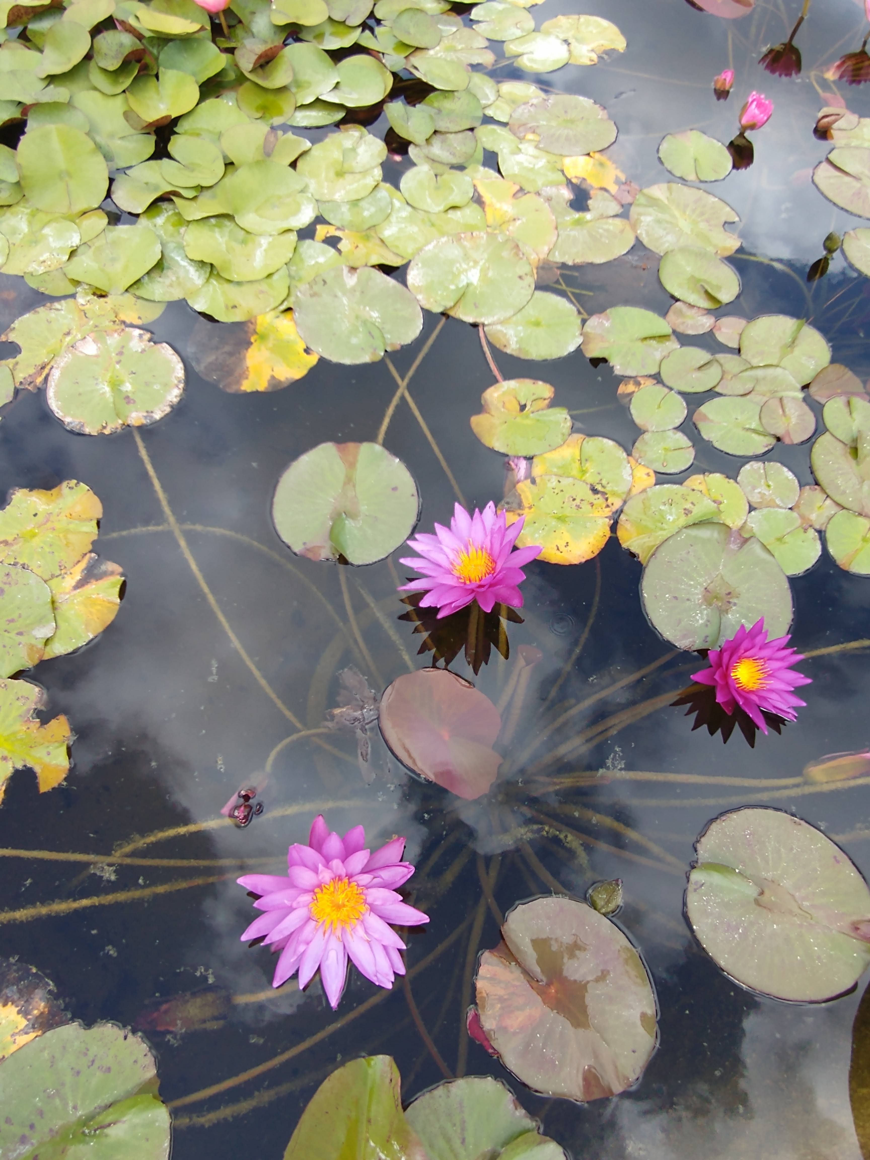 Photo n° 5 de l'avis de iga.e fait le 31/07/2023 à 18:00