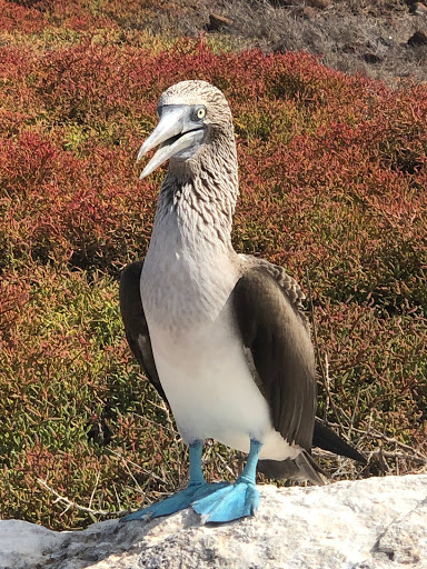 Travel Agency «Travel Leaders - RSVP Events & Travel», reviews and photos, 17281 Chesterfield Airport Rd, Chesterfield, MO 63005, USA