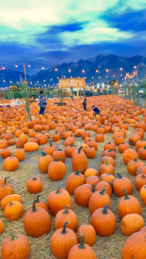 Produce Market «Kuwahara Farms», reviews and photos, 736 12300 S, Draper, UT 84020, USA