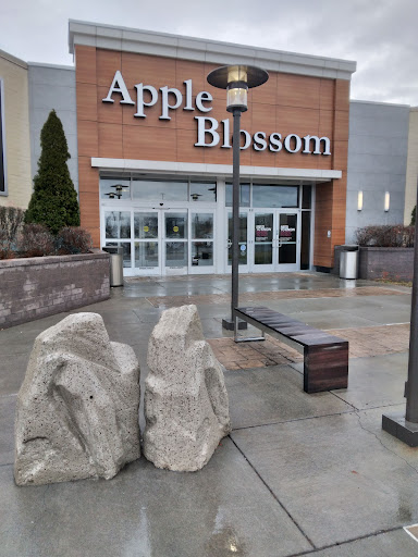 Shopping Mall «Apple Blossom Mall», reviews and photos, 1850 Apple Blossom Dr, Winchester, VA 22601, USA