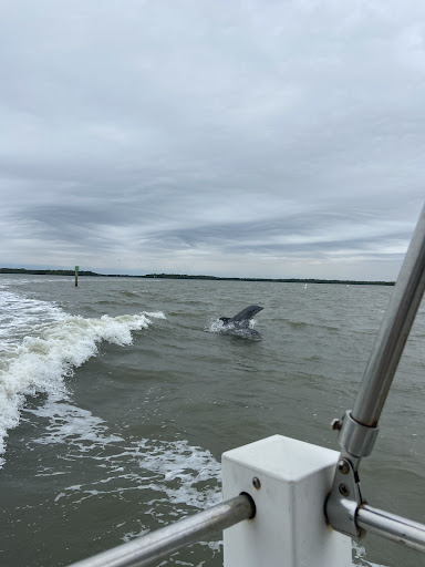 Boat Tour Agency «Good Time Charters», reviews and photos, 4765 Estero Blvd, Fort Myers Beach, FL 33931, USA