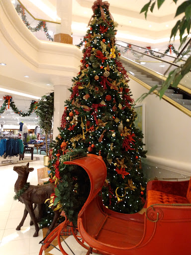 Department Store «Von Maur Eastview», reviews and photos, 300 Eastview Mall, Victor, NY 14564, USA