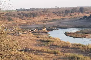 River View of Kruger National Park The Krans image
