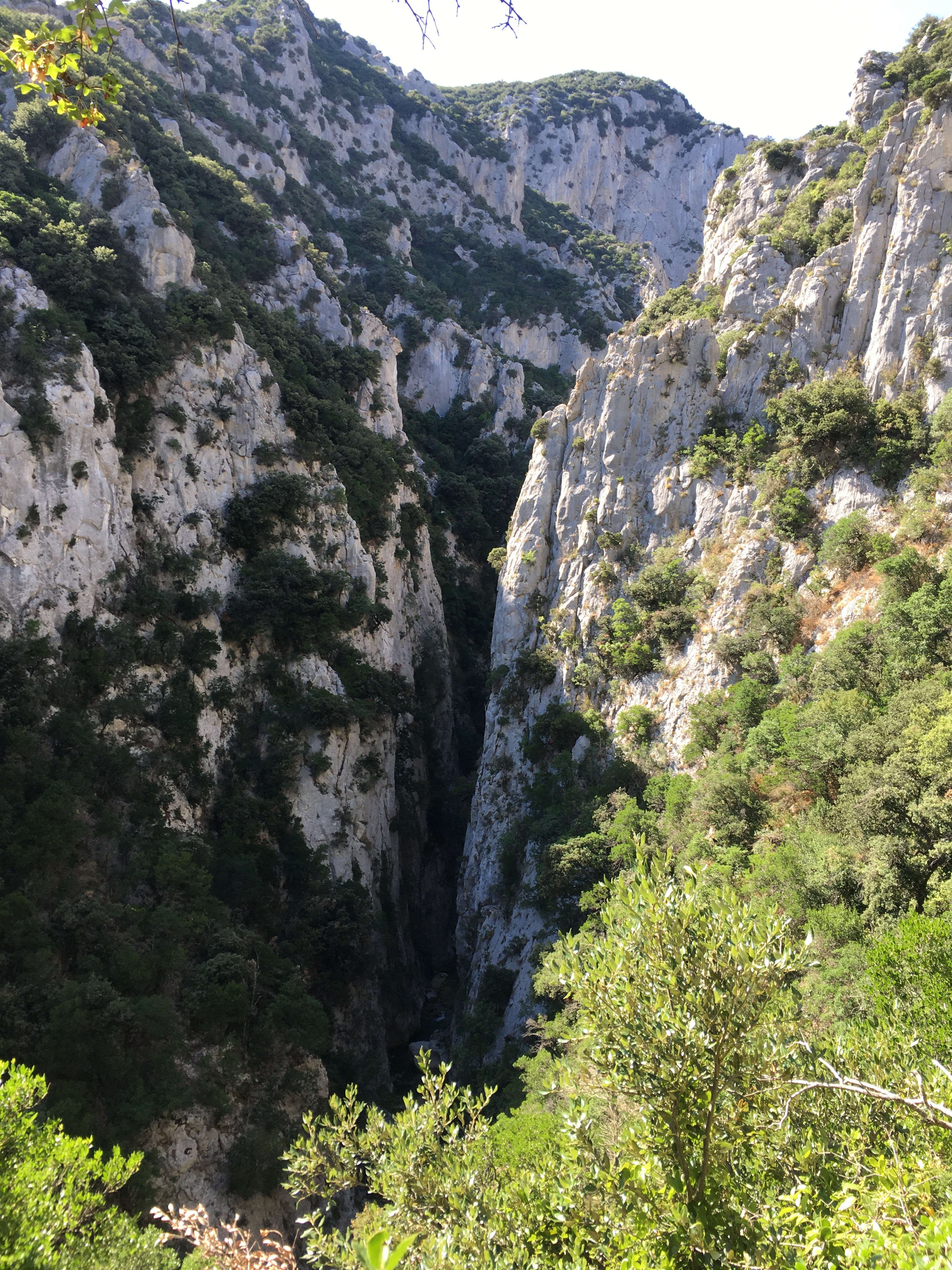 Photo n° 1 de l'avis de Anne.a fait le 16/07/2020 à 18:36