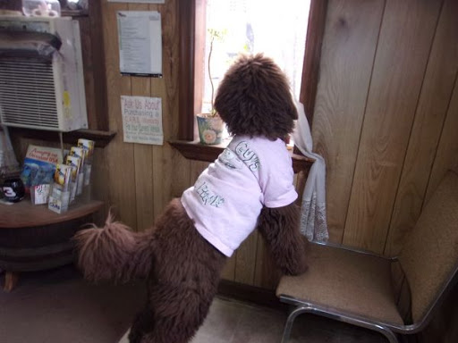 Used Car Dealer «D+S Auto Sales», reviews and photos, 7957 PA-873, Slatington, PA 18080, USA