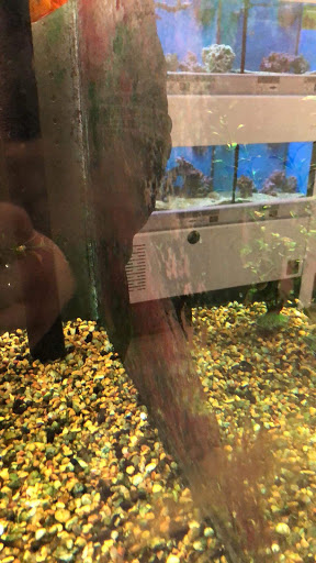 Pet Supply Store «Petco Animal Supplies», reviews and photos, 1680 Campbell Ln, Bowling Green, KY 42104, USA